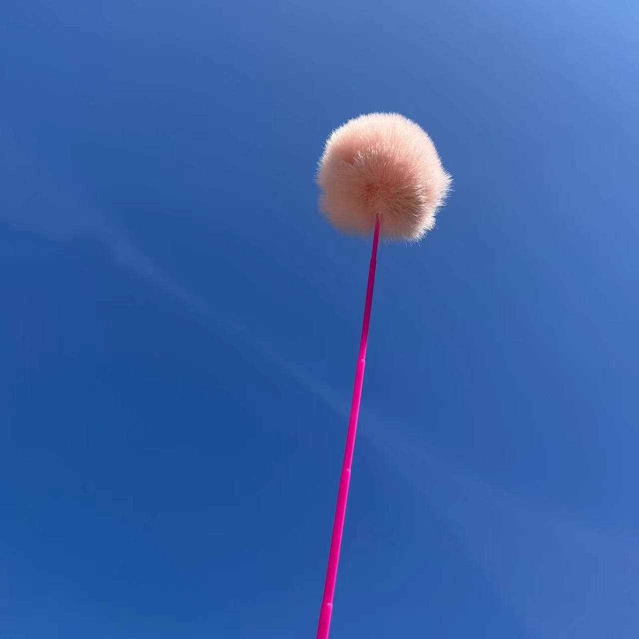 猫 おもちゃ ふわもこポンポン猫じゃらし