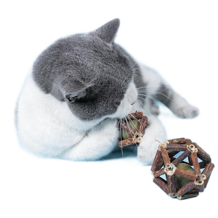 猫 おもちゃ 天然木の幾何学おもちゃ