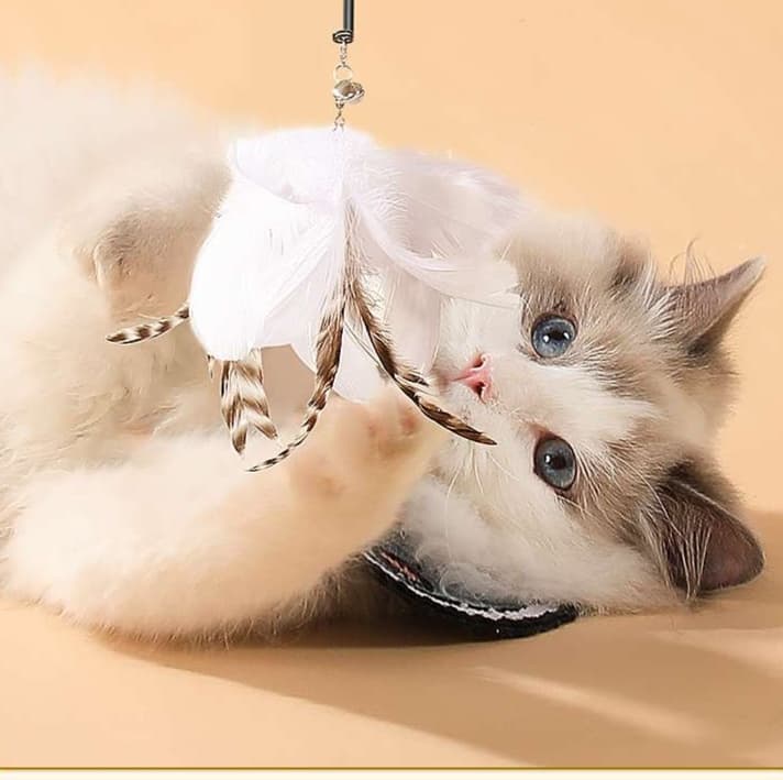 猫 おもちゃ 長柄付き自動猫じゃらし