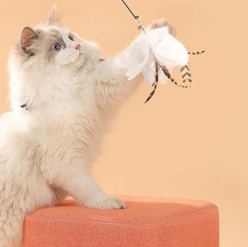 猫 おもちゃ 長柄付き自動猫じゃらし