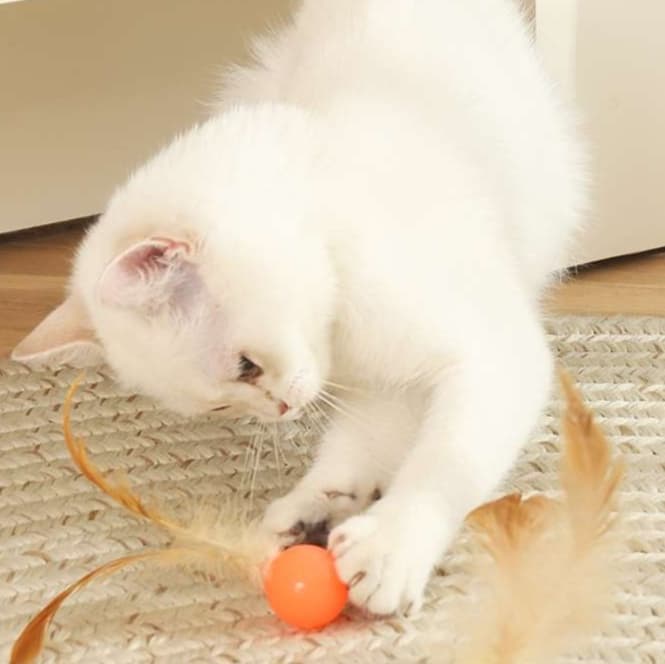 猫 おもちゃ ふわもふ遊び用 弾むボール付き猫じゃらし