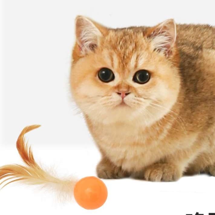 猫 おもちゃ ふわもふ遊び用 弾むボール付き猫じゃらし