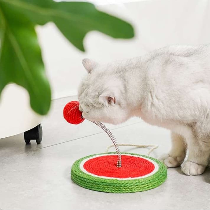 猫 おもちゃ すいかの輪っかじゃらし