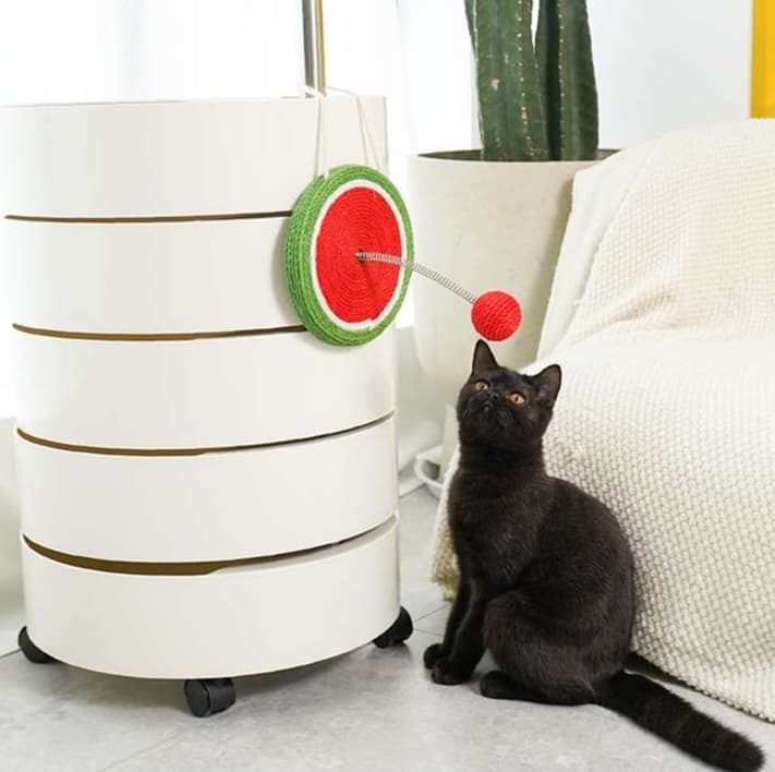 猫 おもちゃ すいかの輪っかじゃらし