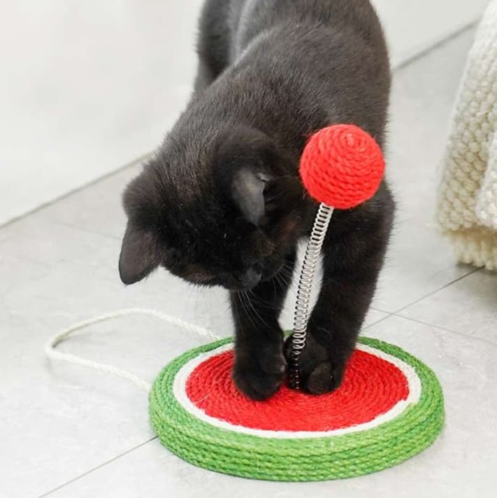 猫 おもちゃ すいかの輪っかじゃらし