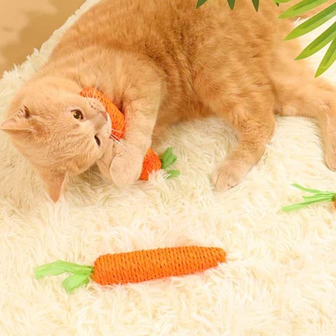猫 おもちゃ にゃんこ大好き もちふわキャロット
