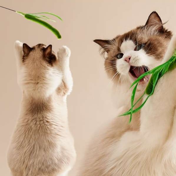 猫 おもちゃ もふもふ癒やし棒 じゃれ猫の友