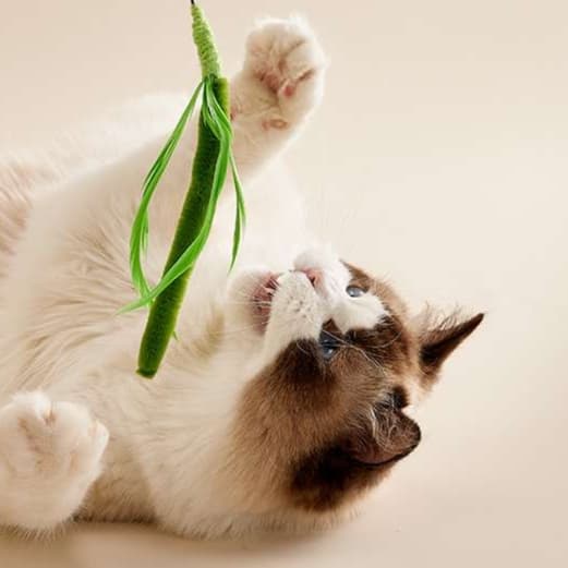 猫 おもちゃ もふもふ癒やし棒 じゃれ猫の友