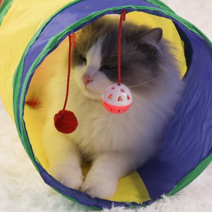 猫 おもちゃ トンネルで遊ぼう！にゃんこのおうち玉じゃらし