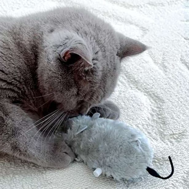 猫 おもちゃ 天然ふわもこ ねずみのおもちゃ