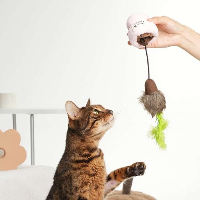 猫 おもちゃ 天然羽根の隠し収納付き猫じゃらし