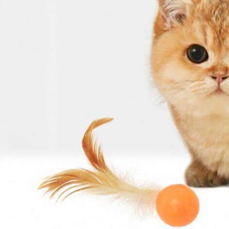 猫 おもちゃ ふわふわ羽根つき弾むボール猫じゃらし