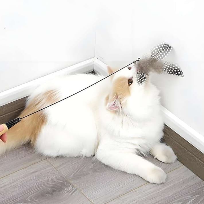 猫 おもちゃ 自然羽根のふわもこ猫じゃらし