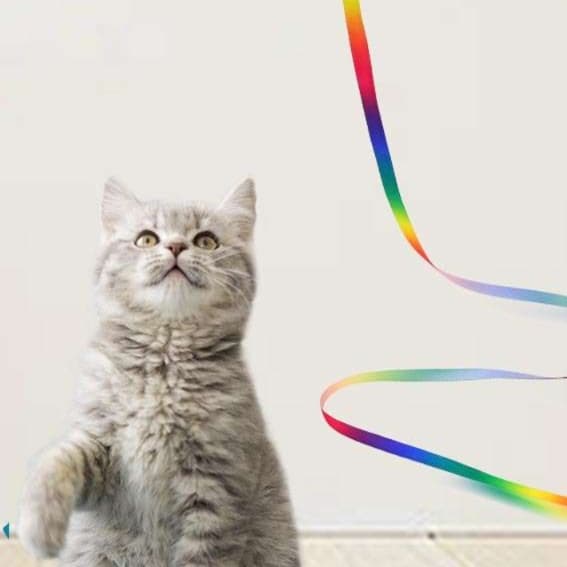 猫 おもちゃ 優雅な長さの おてて遊び猫じゃらし