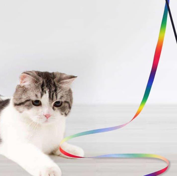 猫 おもちゃ 優雅な長さの おてて遊び猫じゃらし