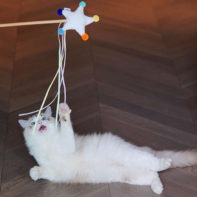 猫 おもちゃ 星型フワフワ リボン付き猫じゃらし