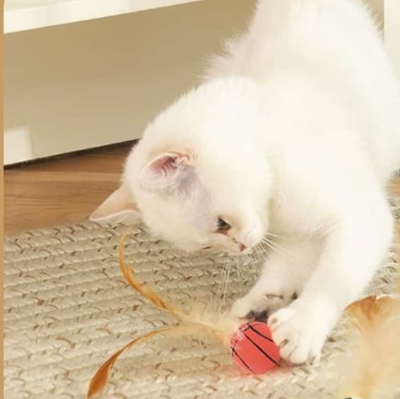 猫 おもちゃ スポーツボール付き羽根じゃらし