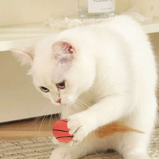 猫 おもちゃ スポーツボール付き羽根じゃらし