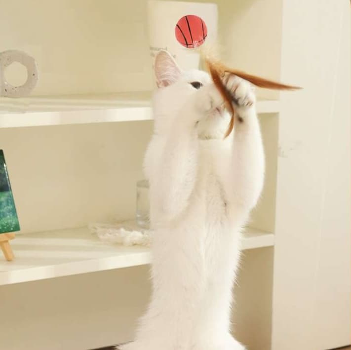 猫 おもちゃ スポーツボール付き羽根じゃらし