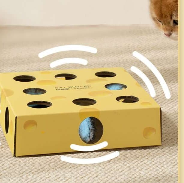 猫 おもちゃ 知育型ねこちゃん遊び箱