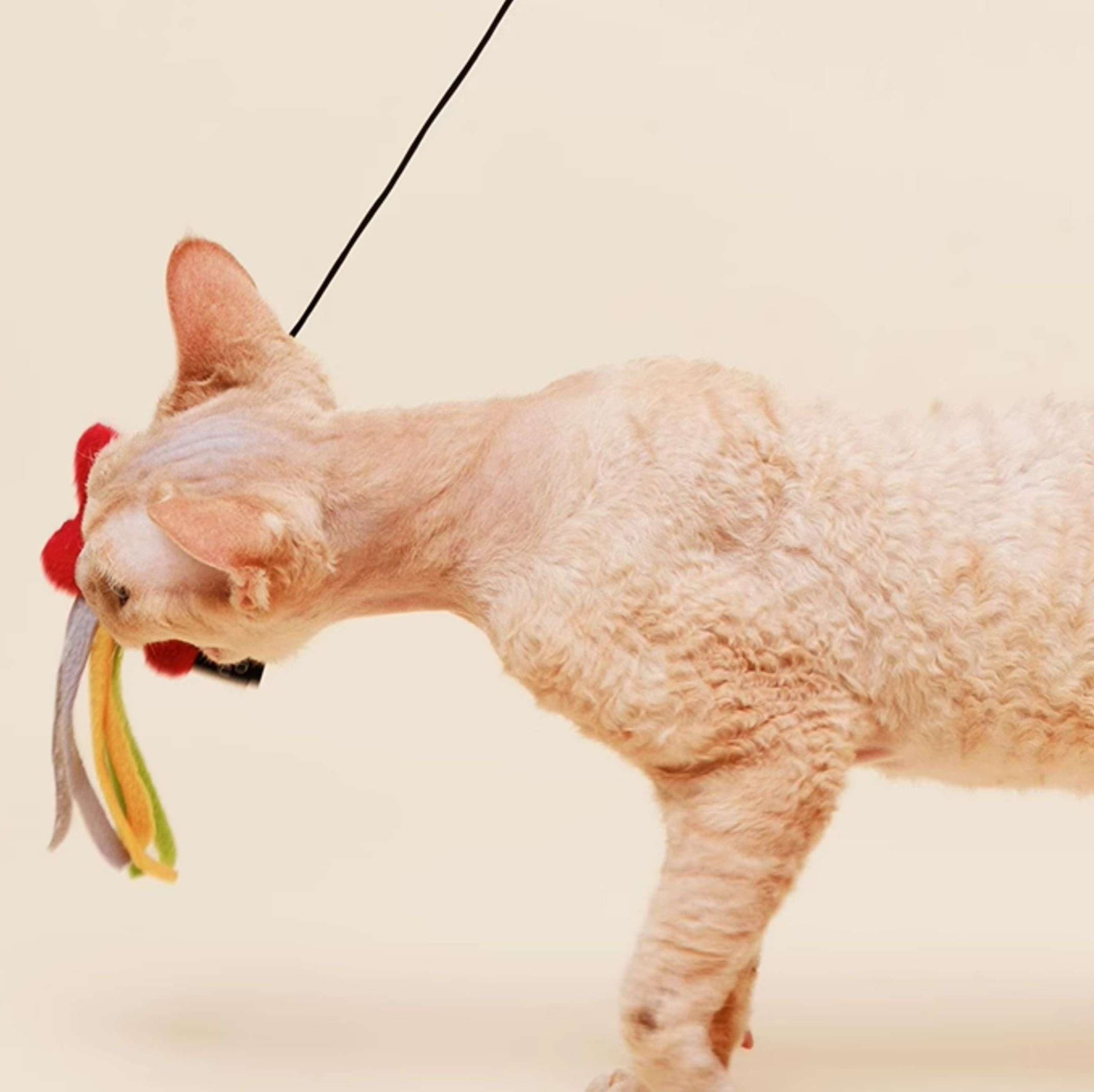 猫 おもちゃ ふわもこ星のきらめき猫じゃらし