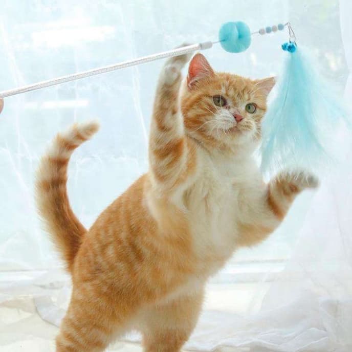 猫 おもちゃ ふわもこ天使の魔法の杖