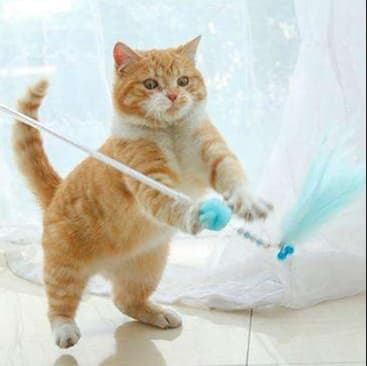 猫 おもちゃ ふわもこ天使の魔法の杖