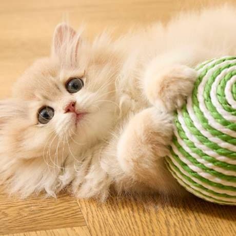 猫 おもちゃ 麻紐ボール型の猫じゃらし