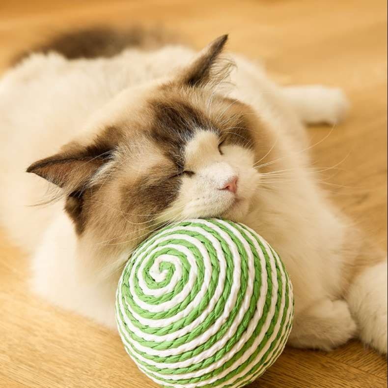 猫 おもちゃ 麻紐ボール型の猫じゃらし