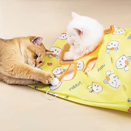 猫 おもちゃ にゃんこのトンネル遊び袋