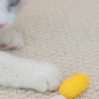 猫 おもちゃ またたび配合 癒しの遊び玉