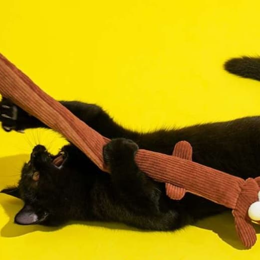 猫 おもちゃ 遊び心くすぐるさすらいの腕長猫じゃらし
