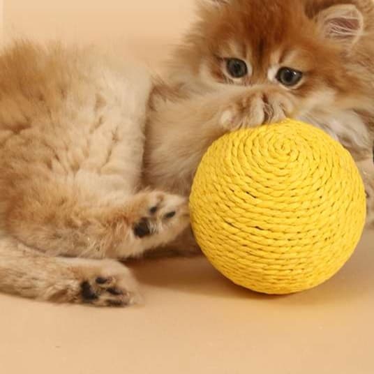 猫 おもちゃ もこもこ紙縄ボール 猫じゃらし