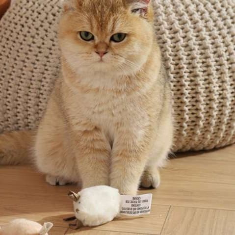 猫 おもちゃ 鳴き声付きネズミの猫じゃらし