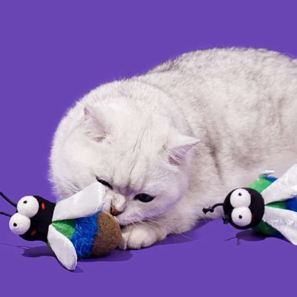 猫 おもちゃ ぶんぶんハチさん猫じゃらし
