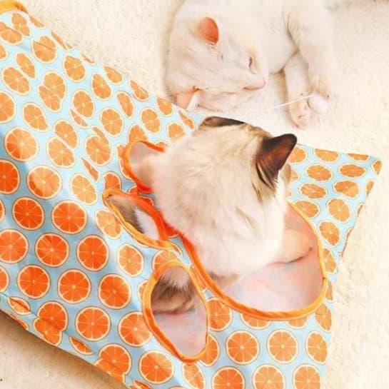 猫 おもちゃ もぐりんトンネル