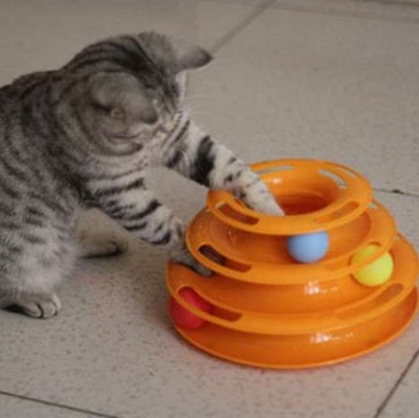 猫 おもちゃ くるくるボール タワートラップ