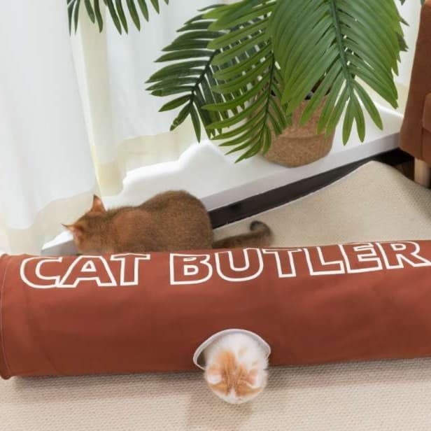 猫 おもちゃ トンネルじゃらし 収納上手
