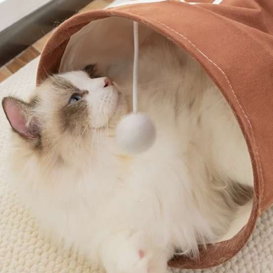 猫 おもちゃ トンネルじゃらし 収納上手