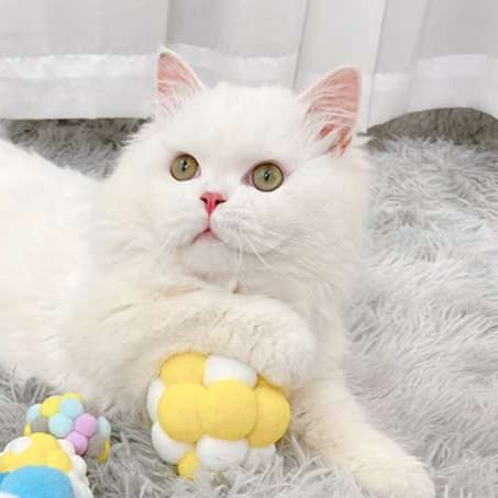 猫 おもちゃ もこもこボール型 猫じゃらし