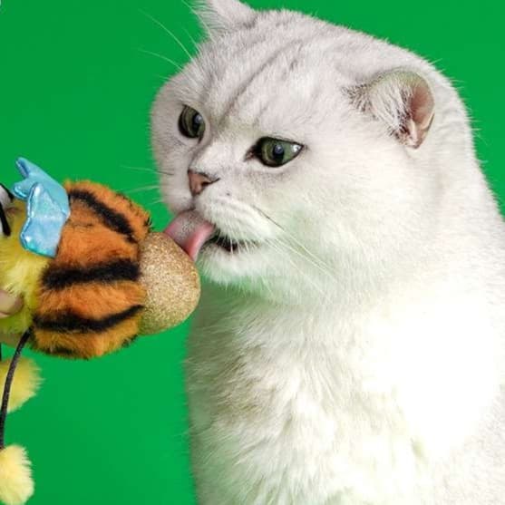 猫 おもちゃ ミツバチじゃらし薄荷玉