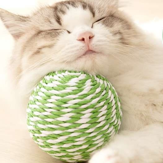猫 おもちゃ ふわもこ鈴音ボール
