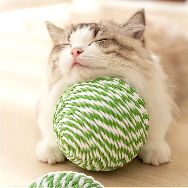 猫 おもちゃ ふわもこ鈴音ボール