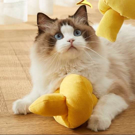 猫 おもちゃ むにゅむにゅ薄荷の蹴りぐるみ