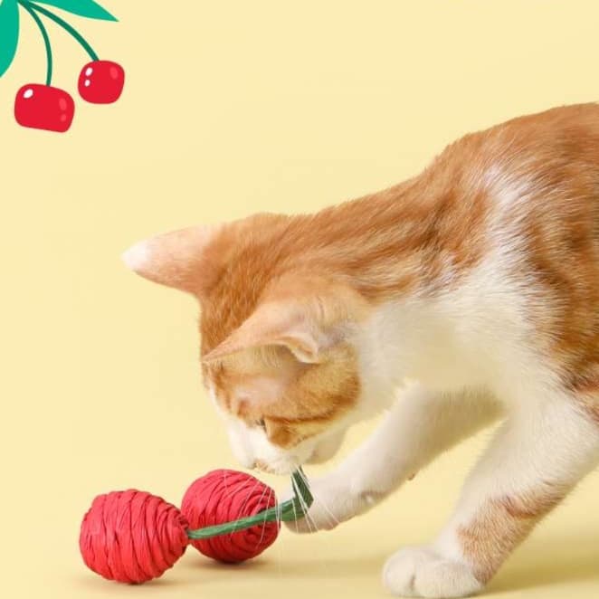 猫 おもちゃ やさい・くだもの猫じゃらし手作り細工