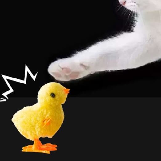 猫 おもちゃ 自動運動 ひよこ猫じゃらし