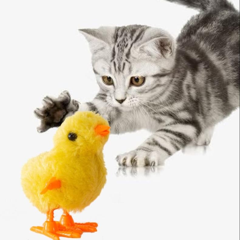 猫 おもちゃ 自動運動 ひよこ猫じゃらし