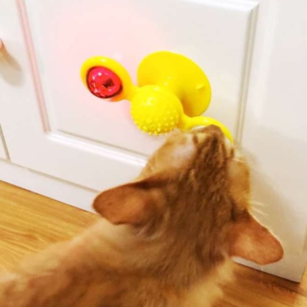 猫 おもちゃ くるくる回転！吸盤付き猫じゃらしグルグル
