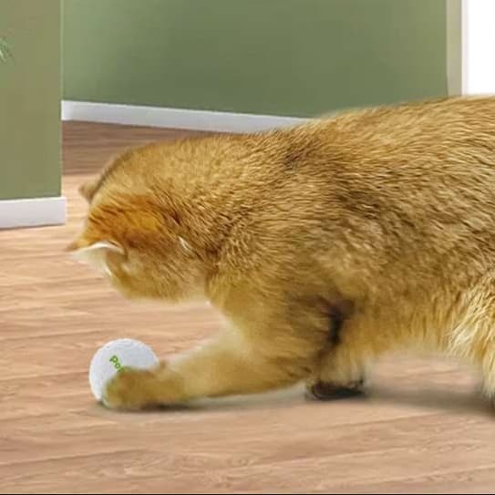 猫 おもちゃ もみもみ光る球 猫じゃらし