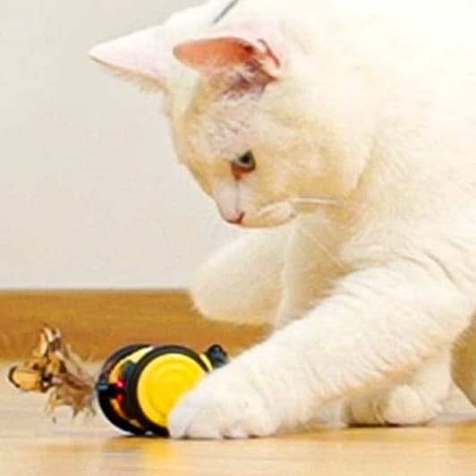 猫 おもちゃ 光る自動運転おもちゃ猫じゃらし